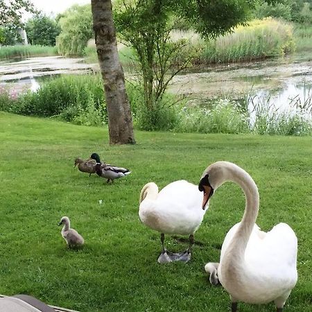 Cotswolds Lake Side Home With Luxury Spa Swallows Nest,Lower Mill Estate, Lakeside Home And Spa With A Harry Potter Cupboard Under The Stairs Somerford Keynes Kültér fotó