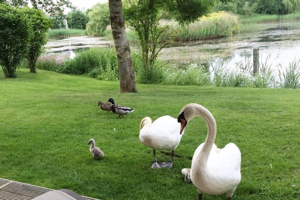 Cotswolds Lake Side Home With Luxury Spa Swallows Nest,Lower Mill Estate, Lakeside Home And Spa With A Harry Potter Cupboard Under The Stairs Somerford Keynes Kültér fotó